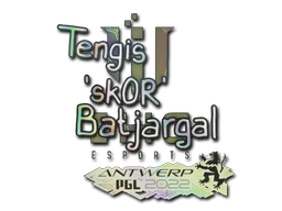 sk0R (Holo) | Antwerp 2022 sticker