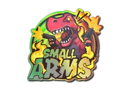 Small Arms sticker