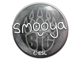 smooya | Katowice 2019 sticker