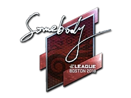 somebody (Foil) | Boston 2018 sticker