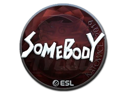 somebody (Foil) | Katowice 2019 sticker