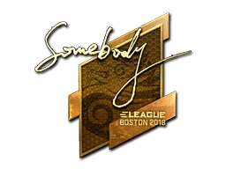somebody (Gold) | Boston 2018 sticker