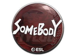 somebody | Katowice 2019 sticker