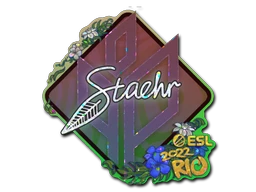 Staehr (Glitter) | Rio 2022 sticker