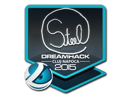 steel | Cluj-Napoca 2015 sticker