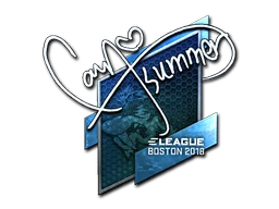 Summer (Foil) | Boston 2018 sticker