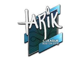 tarik | Boston 2018 sticker