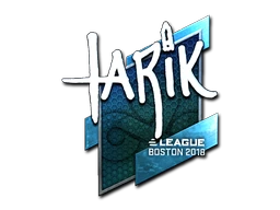 tarik (Foil) | Boston 2018 sticker