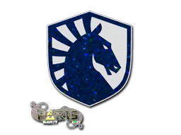 Team Liquid (Glitter) | Paris 2023 sticker