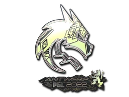 Team Spirit (Holo) | Antwerp 2022 sticker