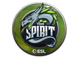 Team Spirit | Katowice 2019 sticker