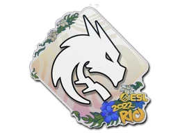 Team Spirit | Rio 2022 sticker