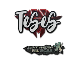 TeSeS | Antwerp 2022 sticker