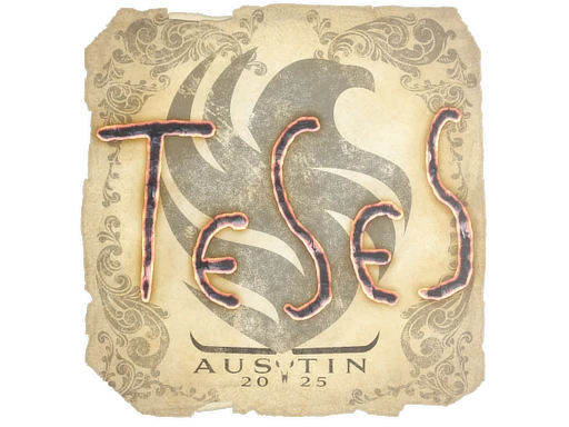 TeSeS | Austin 2025 sticker