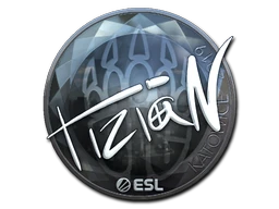 tiziaN (Foil) | Katowice 2019 sticker