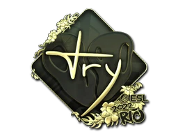 TRY (Gold) | Rio 2022 sticker