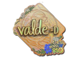 v4lde (Holo) | Rio 2022 sticker