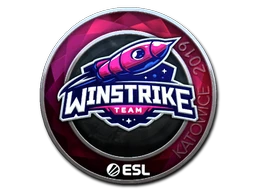 Winstrike Team (Foil) | Katowice 2019 sticker