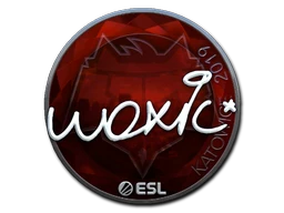 woxic (Foil) | Katowice 2019 sticker