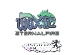 woxic (Holo) | Antwerp 2022 sticker
