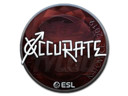 xccurate (Foil) | Katowice 2019 sticker