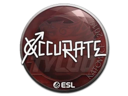 xccurate | Katowice 2019 sticker