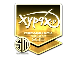 Xyp9x (Gold) | Cluj-Napoca 2015 sticker