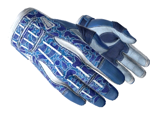 Sports Gloves